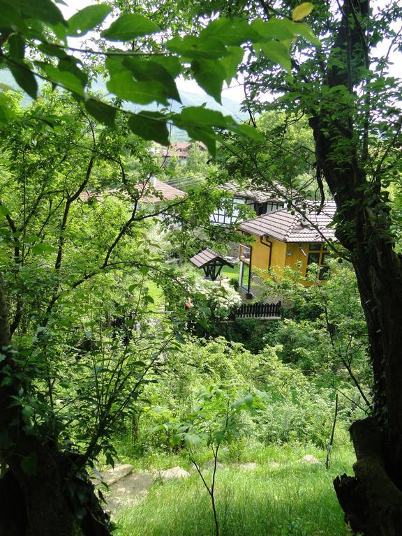 Countryside Houses Golets Hotel Exterior foto